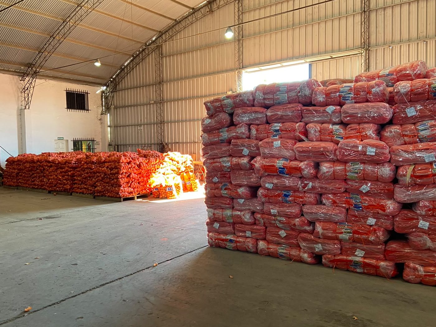 Galp&oacute;n de empaque con la mercader&iacute;a estibada, en un establecimiento de la Comarca